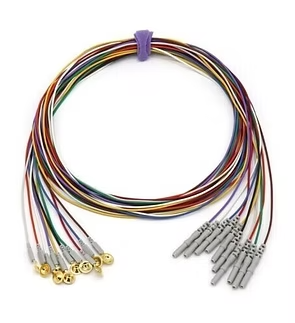 EEG Elektrodu